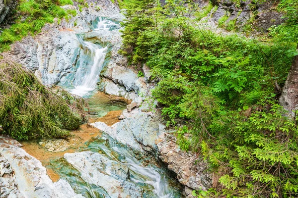 Sapppada Cena Verão Vista Panorâmica Natureza Itália — Fotografia de Stock