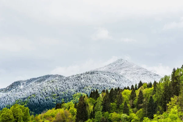 Sutrio yaz manzarası ve şehir, İtalya
