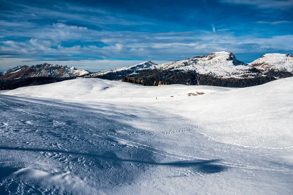 Winterliches Hochland Passo Rolle Italien — Stockfoto