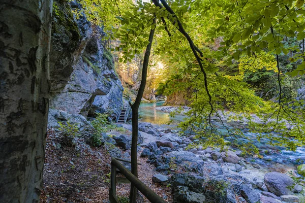 Herbstliche Natur Orrido Dello Slizza Italien — Stockfoto