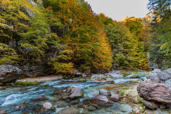 Осенняя Природа Orrido Dello Slizza Италия — стоковое фото