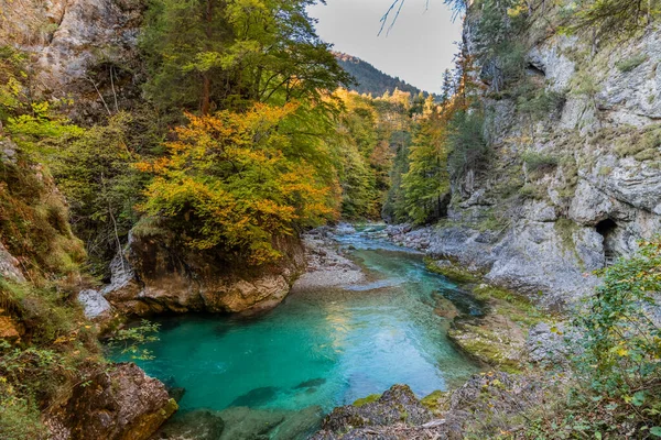 Autumn Nature Orrido Dello Slizza Italy — Stockfoto