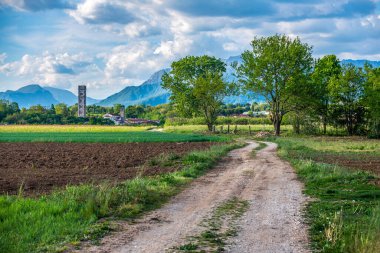 Summer nature in Cassacco, Udine, Italy 
