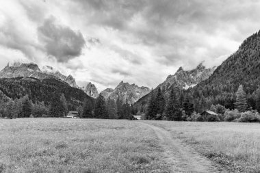 Green highlands in Val Fiscalina, Sesto, Italy 
