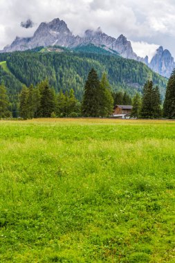 Green highlands in Val Fiscalina, Sesto, Italy 