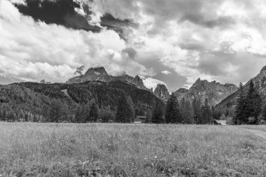 Green highlands in Val Fiscalina, Sesto, Italy 