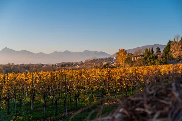 Villafredda Provinsen Hösten Italien — Stockfoto