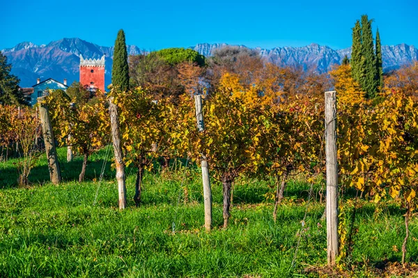 Provincie Villafredda Herfst Italië — Stockfoto