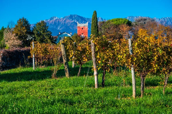 Villafredda Province Autumn Time Italy — Foto de Stock