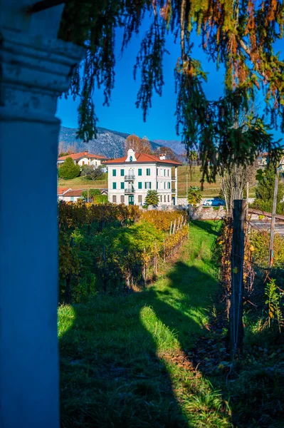 Provincie Villafredda Podzim Itálie — Stock fotografie