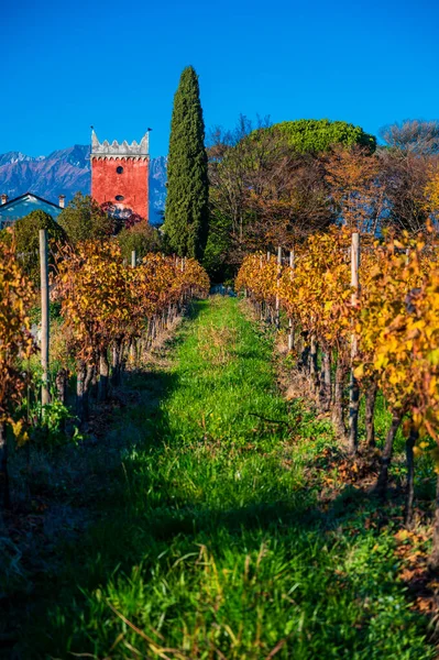 Provincie Villafredda Herfst Italië — Stockfoto