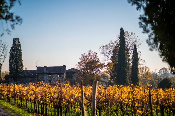 Villafredda Province Autumn Time Italy — стокове фото