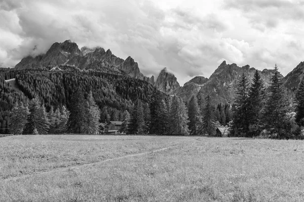 Green Highlands Val Fiscalina Sesto Ιταλία — Φωτογραφία Αρχείου