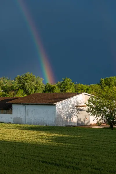 Summer Nature Cassacco Udine Italy — Fotografia de Stock