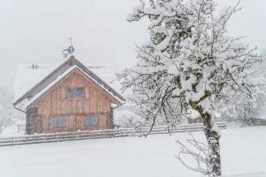 Camporosso kış sahnesi, Liguria, İtalya