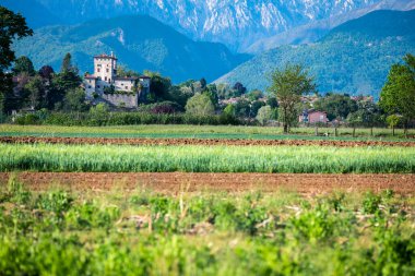 İtalya 'nın Udine eyaletinin Cassacco kentindeki kırsal alan
