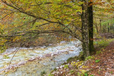 Dağlık arazide sonbahar doğası 