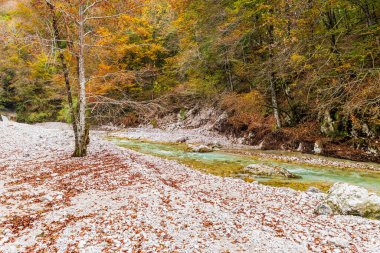 Dağlık arazide sonbahar doğası 