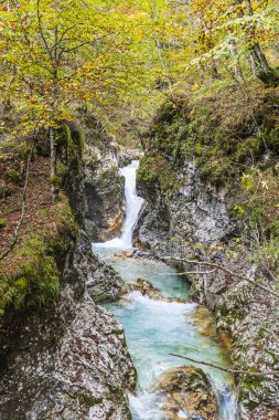 Dağlık arazide sonbahar doğası 