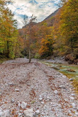 Dağlık arazide sonbahar doğası 