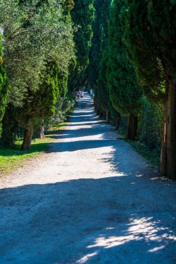 Yaz boyunca doğa manzarası 