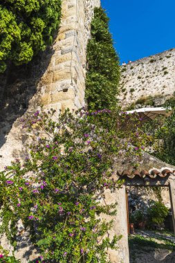 Yaz boyunca doğa manzarası 