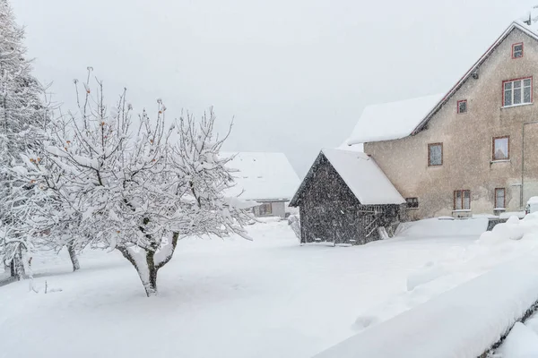 Camporosso Winter Scene Λιγουρία Ιταλία — Φωτογραφία Αρχείου