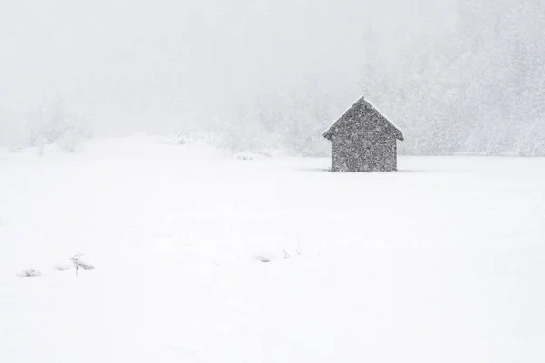 Зимняя Сцена Кампороссо Лигурия Италия — стоковое фото