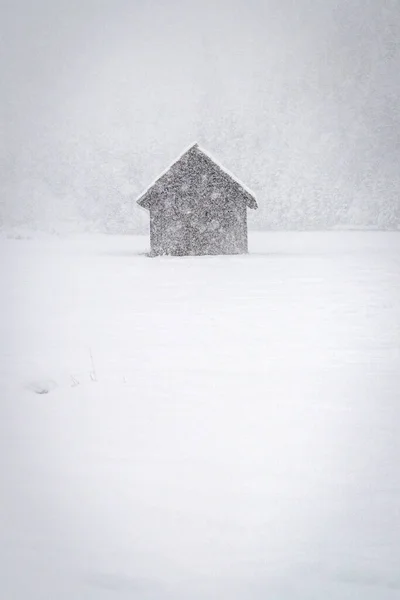 Camporosso Winterszene Ligurien Italien — Stockfoto