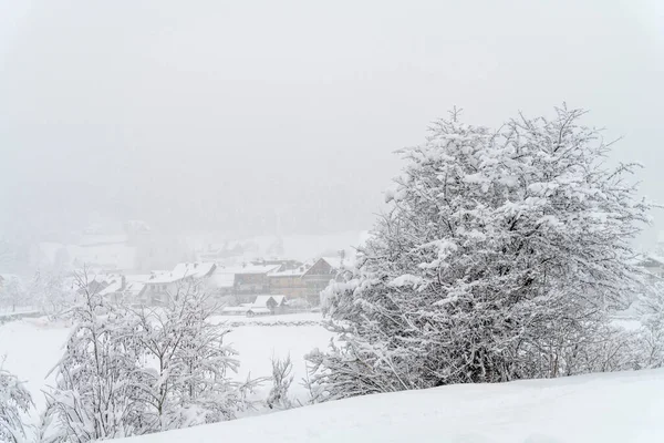 Зимняя Сцена Кампороссо Лигурия Италия — стоковое фото
