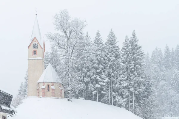 Camporosso Scena Invernale Liguria Italia — Foto Stock