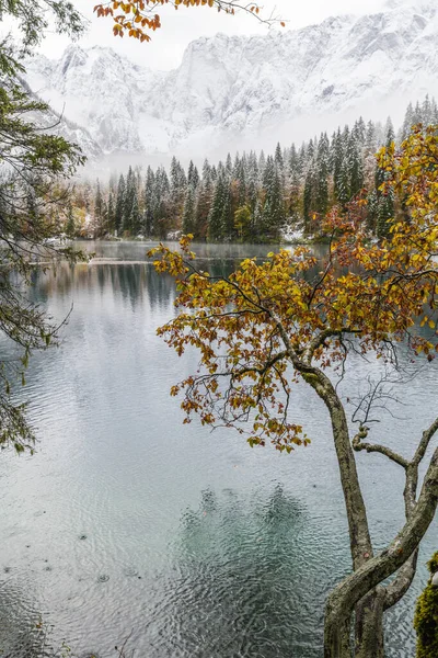 Malowniczy Widok Jezioro Fusine Włochy — Zdjęcie stockowe