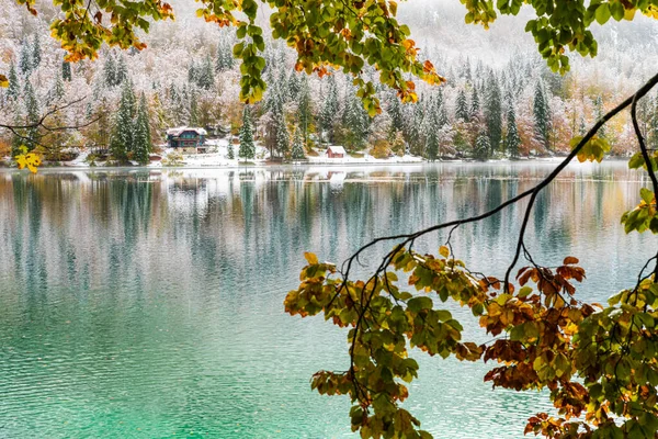 Vue Panoramique Lac Neigeux Fusine Italie — Photo