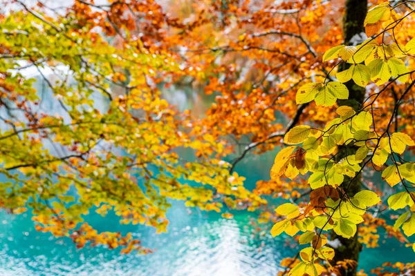 Jezero Fusine Podzim Itálie — Stock fotografie