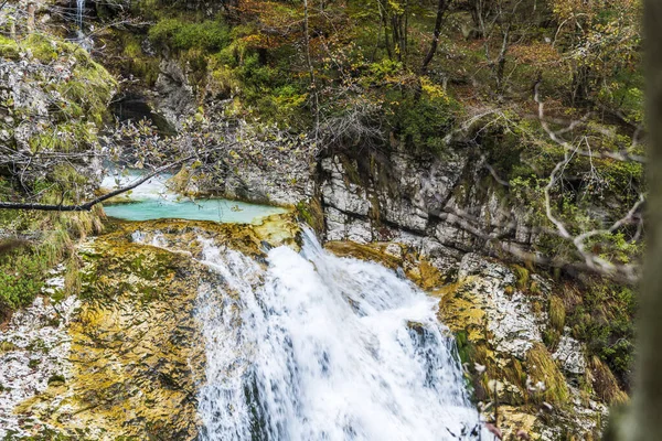 Höstens Natur Höglandsskog — Stockfoto