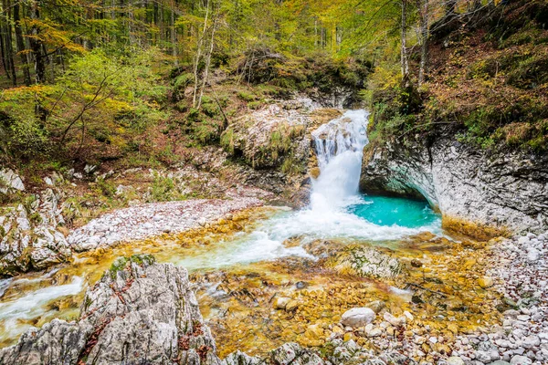 Natureza Outono Floresta Montanhosa — Fotografia de Stock