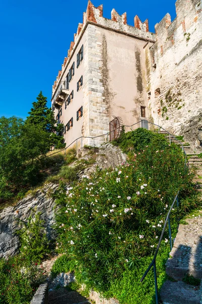 Vista Sulla Natura Durante Estate — Foto Stock