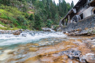 İtalya 'da yaz aylarında Sappada manzarası 