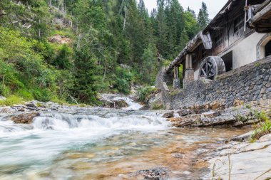 İtalya 'da yaz aylarında Sappada manzarası 