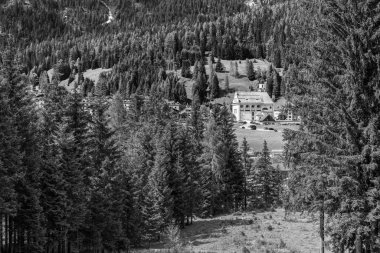 İtalya 'da yaz aylarında Sappada manzarası 