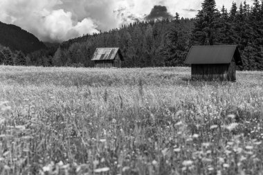 İtalya 'da yaz aylarında Sappada manzarası 