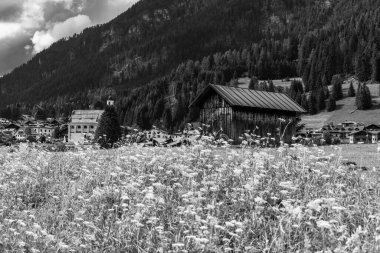 İtalya 'da yaz aylarında Sappada manzarası 