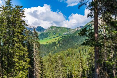 Yaz manzarası dağlarda, ağaçlarda ve vadide, İtalya, Avrupa  