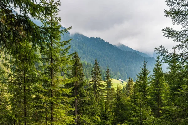 Sommerlandschaft Bergen Bäumen Und Tälern Italien Europa — Stockfoto