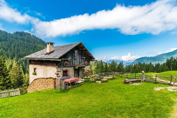 Idyllische Sommerlandschaft Den Bergen Dorf Holzhaus Santa Maddalena Village Italien — Stockfoto