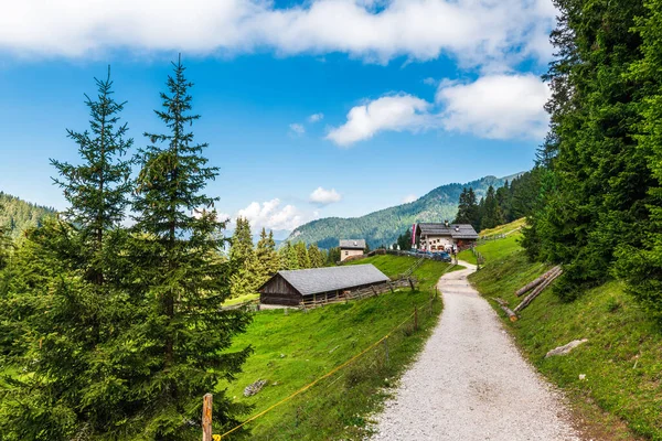 Idyllische Sommerlandschaft Den Bergen Italien Häuser Dorf Santa Maddalena — Stockfoto