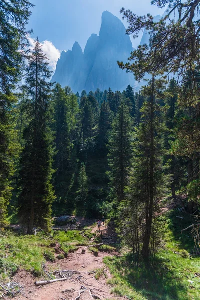 Летний Пейзаж Горах Деревьях Долине Италия Европа — стоковое фото