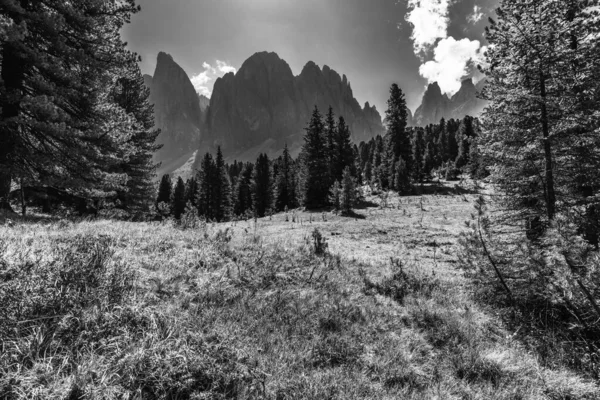 Foto Preto Branco Paisagem Verão Nas Montanhas Itália Europa — Fotografia de Stock