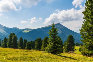 Val di Funes Vadisi, Santa Maddalena Köyü, Trentino Alto Adige Bölgesi, İtalya, Avrupa  