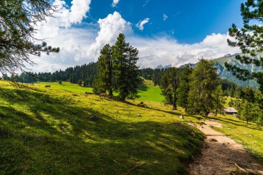 Val di Funes Vadisi, Santa Maddalena Köyü, Trentino Alto Adige Bölgesi, İtalya, Avrupa  